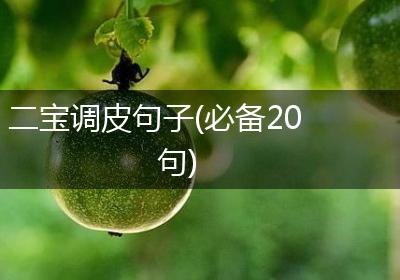 二宝调皮句子(必备20句)
