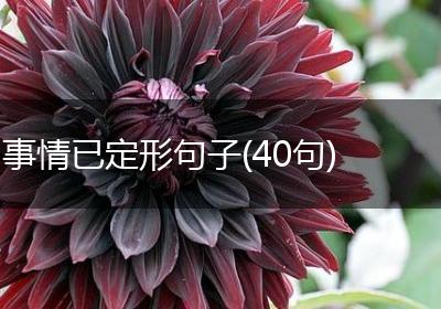 事情已定形句子(40句)