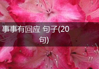 事事有回应 句子(20句)