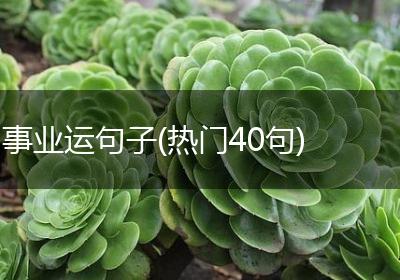 事业运句子(热门40句)