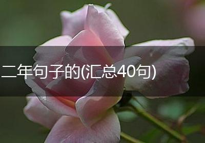 二年句子的(汇总40句)
