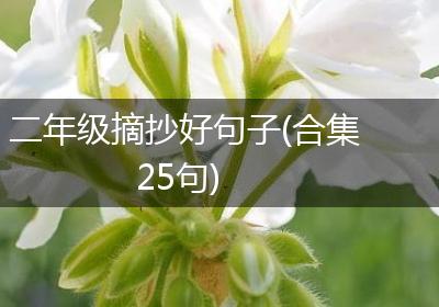 二年级摘抄好句子(合集25句)