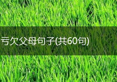 亏欠父母句子(共60句)