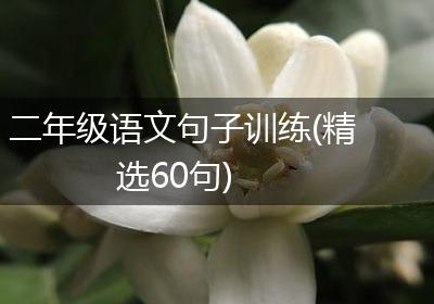 二年级语文句子训练(精选60句)