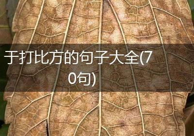于打比方的句子大全(70句)