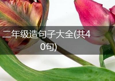 二年级造句子大全(共40句)