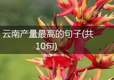 云南产量最高的句子(共10句)