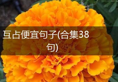 互占便宜句子(合集38句)