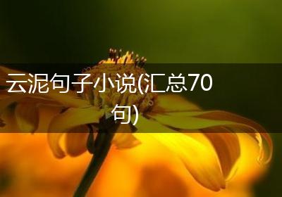 云泥句子小说(汇总70句)