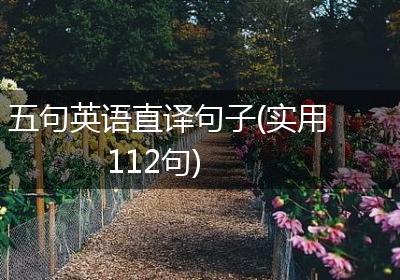 五句英语直译句子(实用112句)
