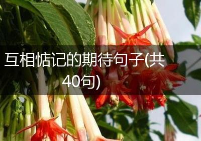 互相惦记的期待句子(共40句)