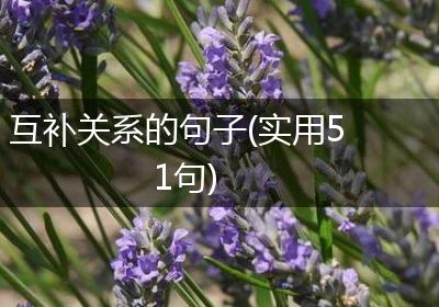 互补关系的句子(实用51句)