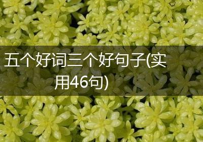 五个好词三个好句子(实用46句)