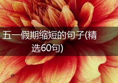 五一假期缩短的句子(精选60句)