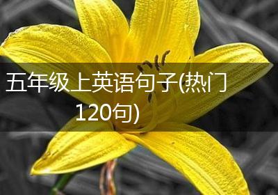 五年级上英语句子(热门120句)