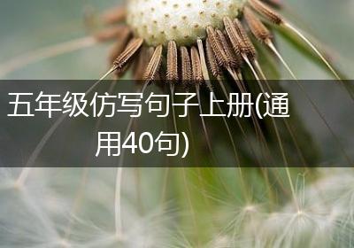 五年级仿写句子上册(通用40句)