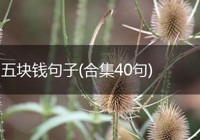 五块钱句子(合集40句)