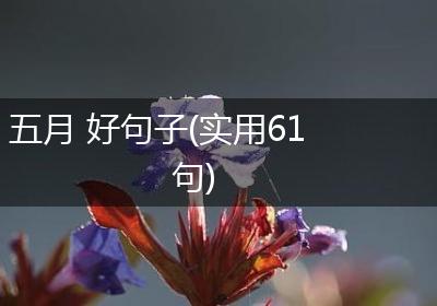 五月 好句子(实用61句)