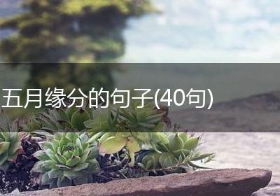 五月缘分的句子(40句)