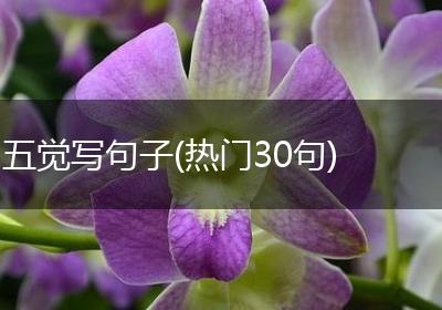 五觉写句子(热门30句)