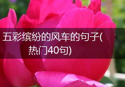 五彩缤纷的风车的句子(热门40句)