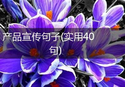 产品宣传句子(实用40句)