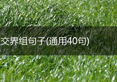 交界组句子(通用40句)