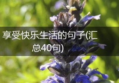 享受快乐生活的句子(汇总40句)