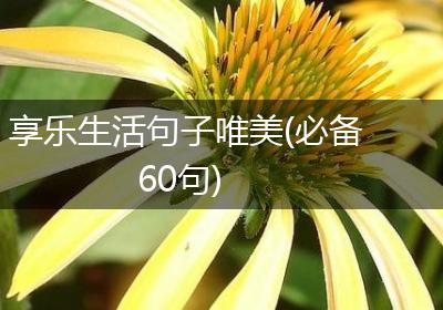 享乐生活句子唯美(必备60句)