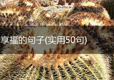 享福的句子(实用50句)