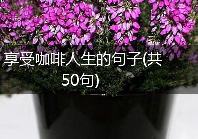 享受咖啡人生的句子(共50句)