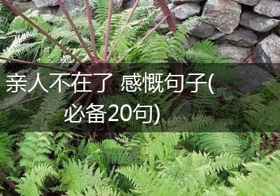 亲人不在了 感慨句子(必备20句)