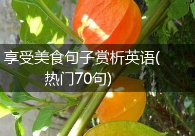 享受美食句子赏析英语(热门70句)