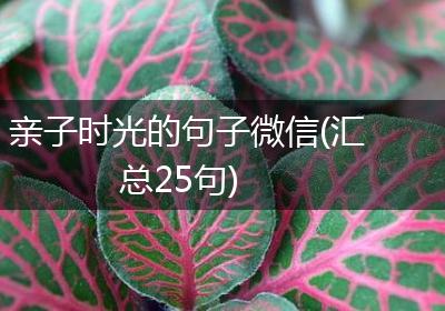 亲子时光的句子微信(汇总25句)