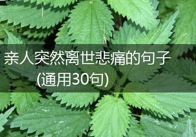 亲人突然离世悲痛的句子(通用30句)