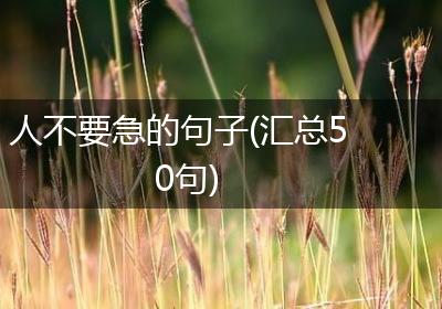 人不要急的句子(汇总50句)