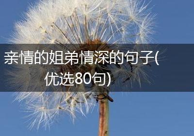 亲情的姐弟情深的句子(优选80句)