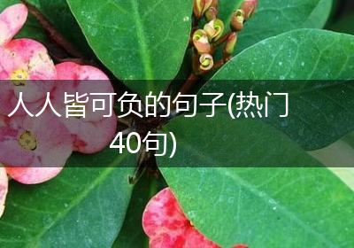 人人皆可负的句子(热门40句)