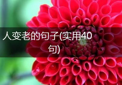 人变老的句子(实用40句)