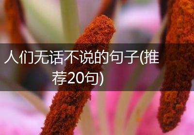 人们无话不说的句子(推荐20句)