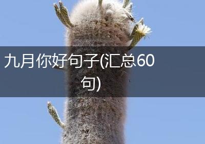 九月你好句子(汇总60句)