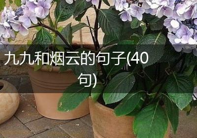 九九和烟云的句子(40句)