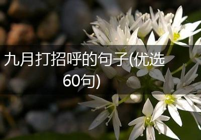 九月打招呼的句子(优选60句)