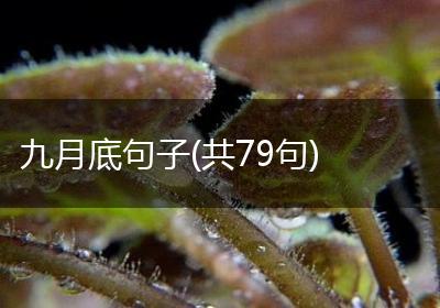 九月底句子(共79句)