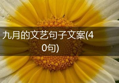 九月的文艺句子文案(40句)