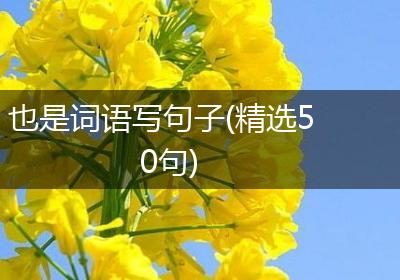 也是词语写句子(精选50句)