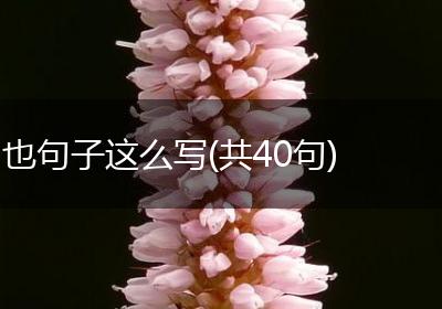 也句子这么写(共40句)