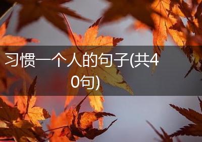 习惯一个人的句子(共40句)