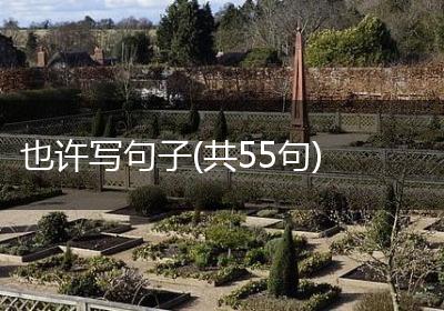 也许写句子(共55句)