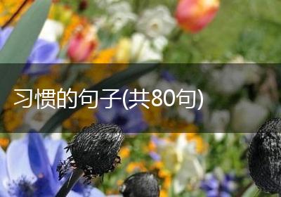习惯的句子(共80句)